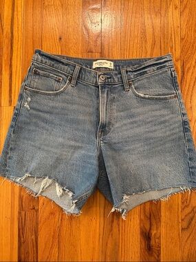 Abercrombie & Fitch the Baggy short mid rise